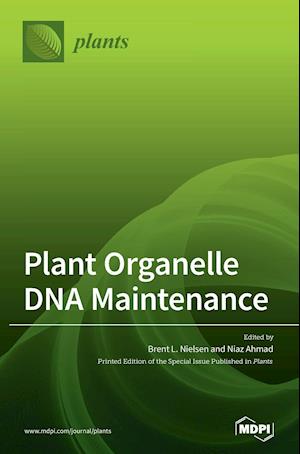 Plant Organelle DNA Maintenance