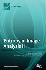 Entropy in Image Analysis II 