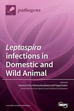 Leptospira infections in Domestic and Wild Animal 