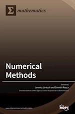 Numerical Methods 