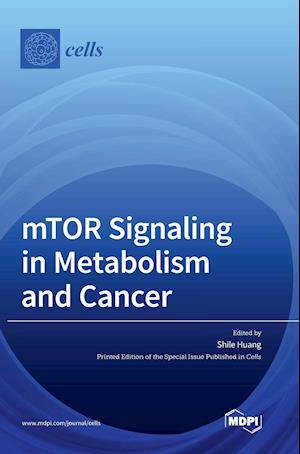 mTOR Signaling in Metabolism and Cancer