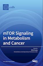 mTOR Signaling in Metabolism and Cancer 