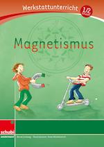 Magnetismus - Werkstatt