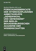 Forschungsberichte der interdisziplinären Arbeitsgruppe Gemeinwohl und Gemeinsinn der Berlin-Brandenburgischen Akademie der Wissenschaften, Band 1, Ge