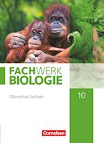 Fachwerk Biologie 10. Schuljahr - Sachsen - Schulbuch