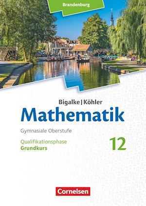 Bigalke/Köhler: Mathematik - 12. Schuljahr - Brandenburg - Grundkurs - Schülerbuch