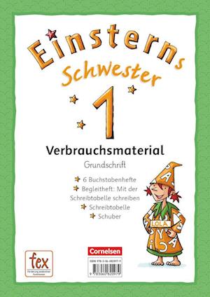 Einsterns Schwester - Erstlesen 1. Schuljahr Grundschrift: 6 Buchstabenhefte und Begleitheft im Schuber