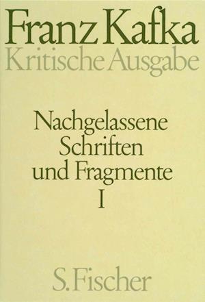 Nachgelassene Schriften und Fragmente I. Kritische Ausgabe