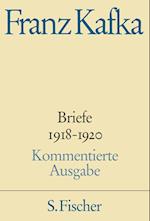 Briefe 1918-1920