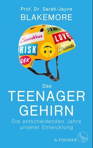 Das Teenager-Gehirn