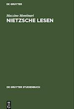 Nietzsche Lesen