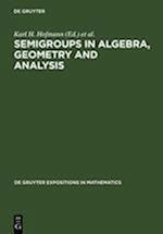 Semigroups in Algebra, Geometry and Analysis