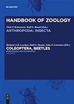 Morphology and Systematics (Elateroidea, Bostrichiformia, Cucujiformia partim)