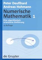 Deuflhard, P: Numerische Mathematik 1