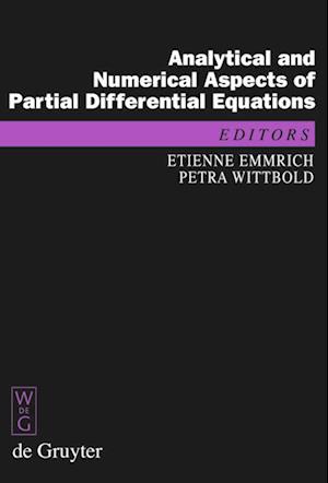 Analytical and Numerical Aspects of Partial Differential Equations