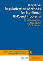 Iterative Regularization Methods for Nonlinear Ill-Posed Problems