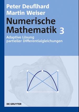 Adaptive Lösung partieller Differentialgleichungen