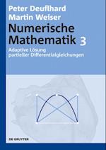 Adaptive Lösung partieller Differentialgleichungen