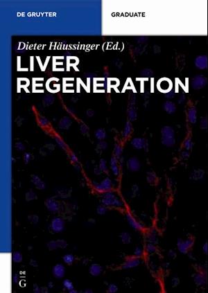 Liver Regeneration