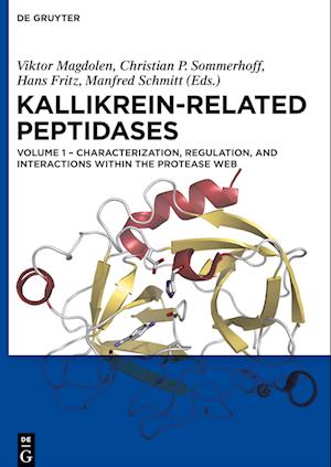 Characterization, regulation, and interactions within the protease web