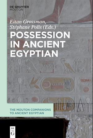 Possession in Ancient Egyptian