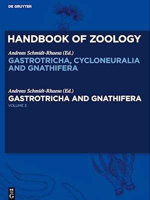 Gastrotricha and Gnathifera