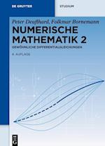 Numerische Mathematik 2