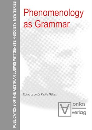 Phenomenology as Grammar