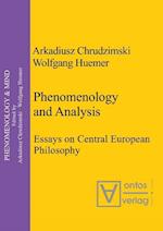 Phenomenology & Analysis