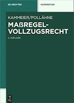 Maßregelvollzugsrecht