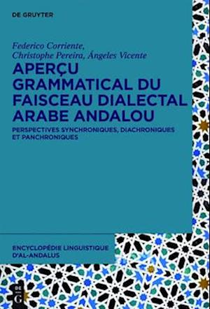 Apercu grammatical du faisceau dialectal arabe andalou