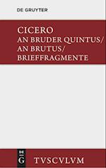 An Bruder Quintus