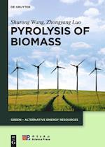 Pyrolysis of Biomass