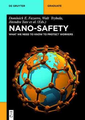 Nano-Safety