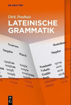 Panhuis, D: Lateinische Grammatik