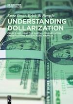 Understanding Dollarization