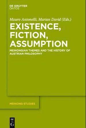 Existence, Fiction, Assumption