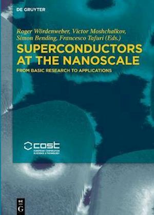 Superconductors at the Nanoscale
