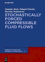 Stochastically Forced Compressible Fluid Flows
