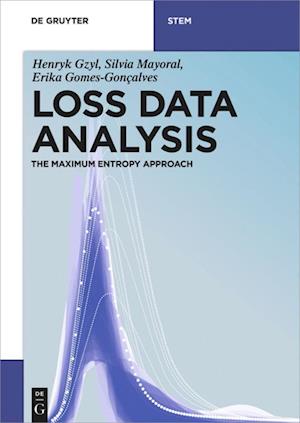 Gzyl, H: Loss Data Analysis