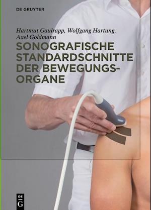 Sonografische Standardschnitte Der Bewegungsorgane