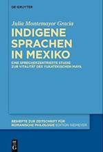 Indigene Sprachen in Mexiko