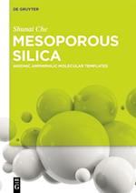 Mesoporous Silica