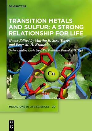 Transition Metals and Sulfur ¿ A Strong Relationship for Life