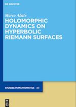 Holomorphic Dynamics on Hyperbolic Riemann Surfaces