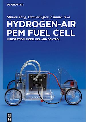 Hydrogen-Air PEM Fuel Cell