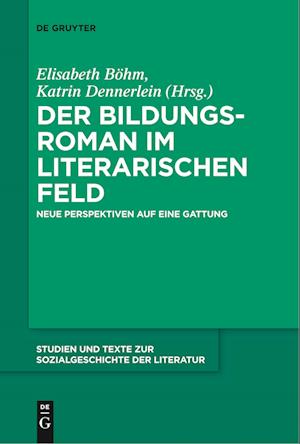 Der Bildungsroman im literarischen Feld