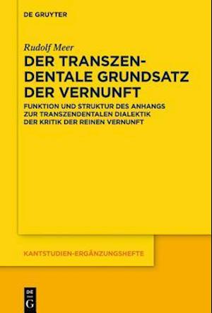 Der transzendentale Grundsatz der Vernunft