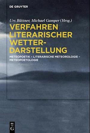 Verfahren literarischer Wetterdarstellung