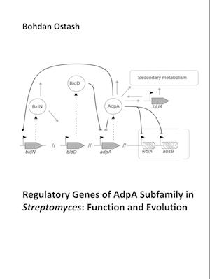 Regulatory Genes of AdpA Subfamily in Streptomyces: Function and Evolution